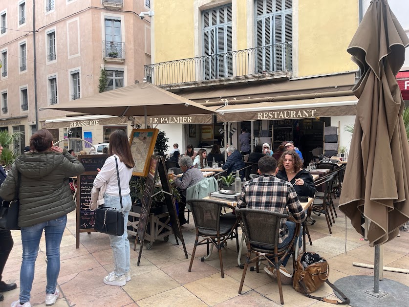 Le Palmier à Nîmes