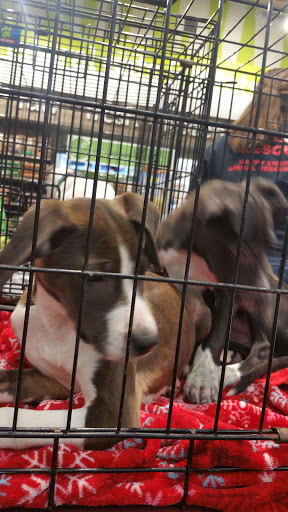 Pet Supply Store «Petco Animal Supplies», reviews and photos, 12611 Jefferson Davis Hwy, Chester, VA 23831, USA