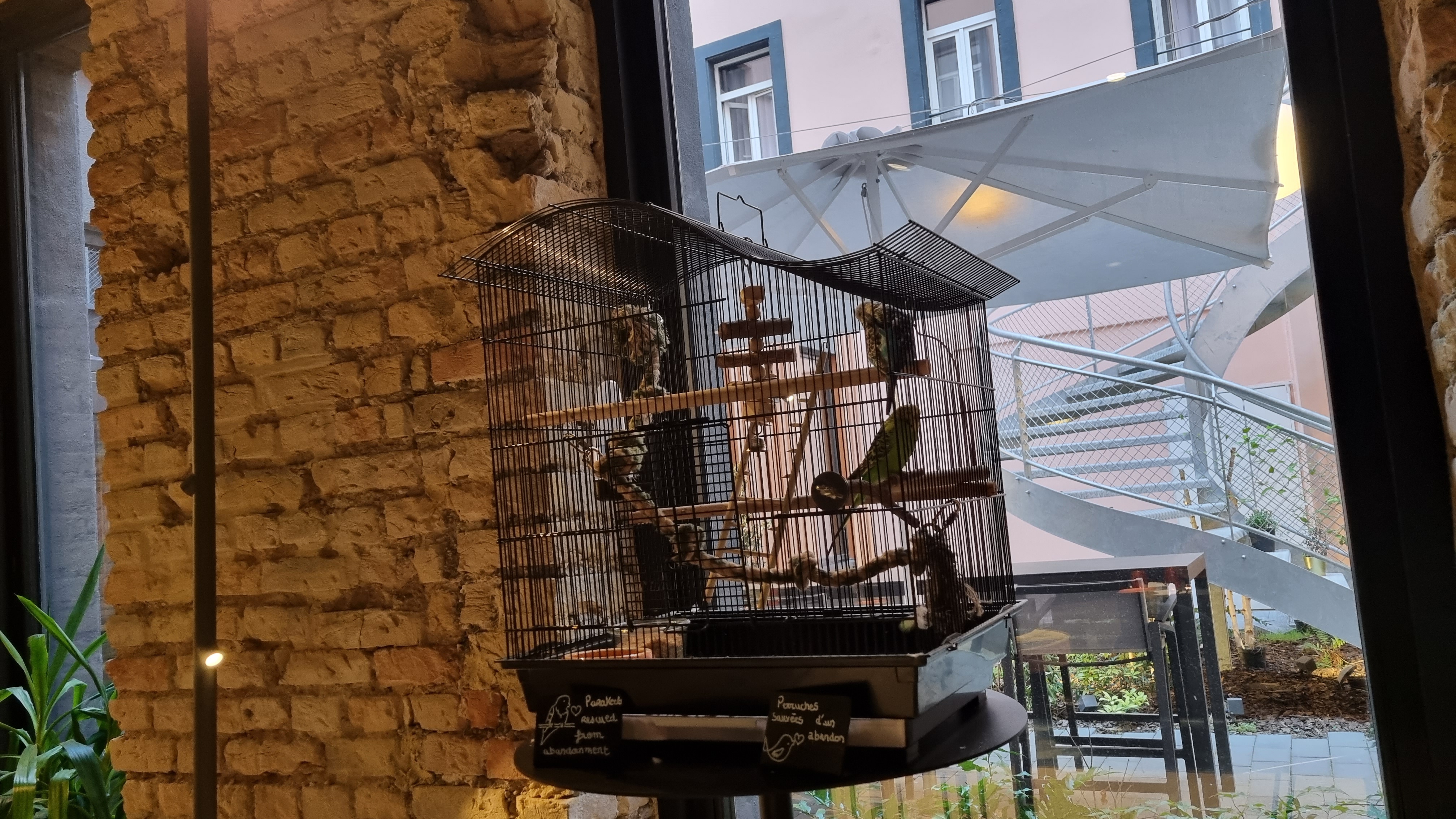 Photo n° 2 de l'avis de Jean-Luc.o fait le 03/06/2022 à 17:31