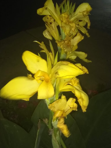 Steak House «Clearwater Saloon & Casino», reviews and photos, 838 Valley Mall Pkwy, East Wenatchee, WA 98802, USA