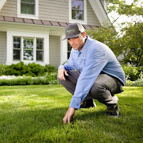 Spring Green - Photo 2 - Car repair in Cedar Rapids, IA, Cedar Rapids