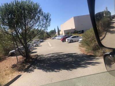 Falco Sem à Domazan