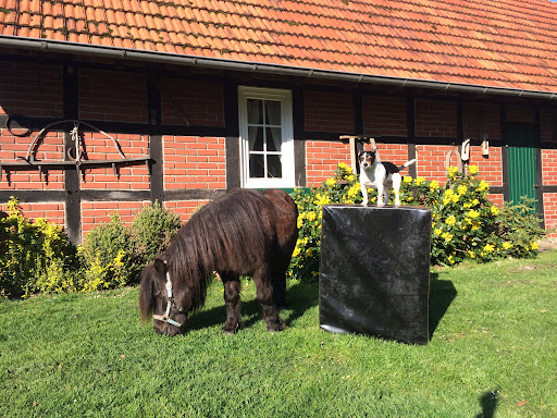 TIERGESUNDHEIT LADBERGEN unter Ladbergen, 