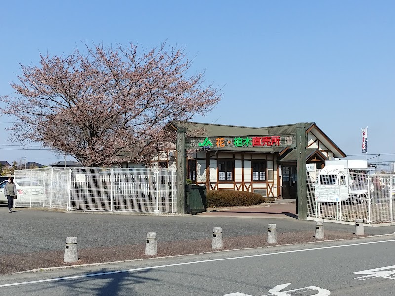 ＪＡ花園 花・植木直売所