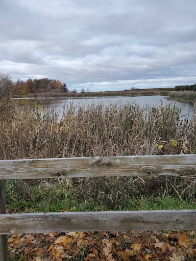 Winery «Lemon Creek Winery», reviews and photos, 533 E Lemon Creek Rd, Berrien Springs, MI 49103, USA