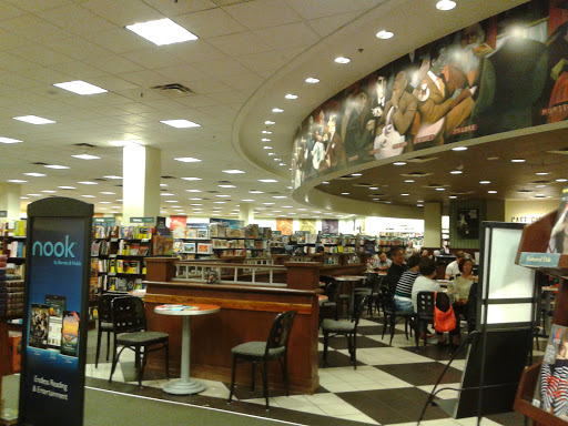 Book Store «Barnes & Noble», reviews and photos, 21001 N Tatum Blvd #42, Phoenix, AZ 85050, USA