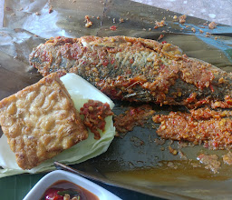 Mahatani resto bogor photo
