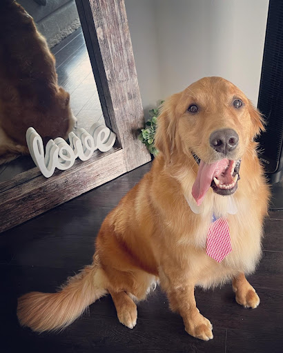 Pet Groomer «Mario`s Pet Grooming & Boutique», reviews and photos, 708 SE 17th St, Fort Lauderdale, FL 33316, USA