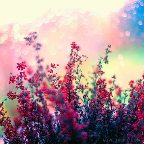 Florist «Donnelly Floral and Event Design», reviews and photos, 111 Sacramento St, Rio Vista, CA 94571, USA