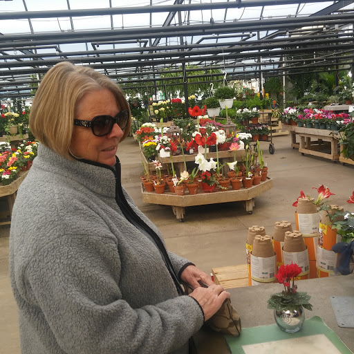 Garden Center «H J Benken Florist & Garden», reviews and photos, 6000 Plainfield Rd, Cincinnati, OH 45213, USA