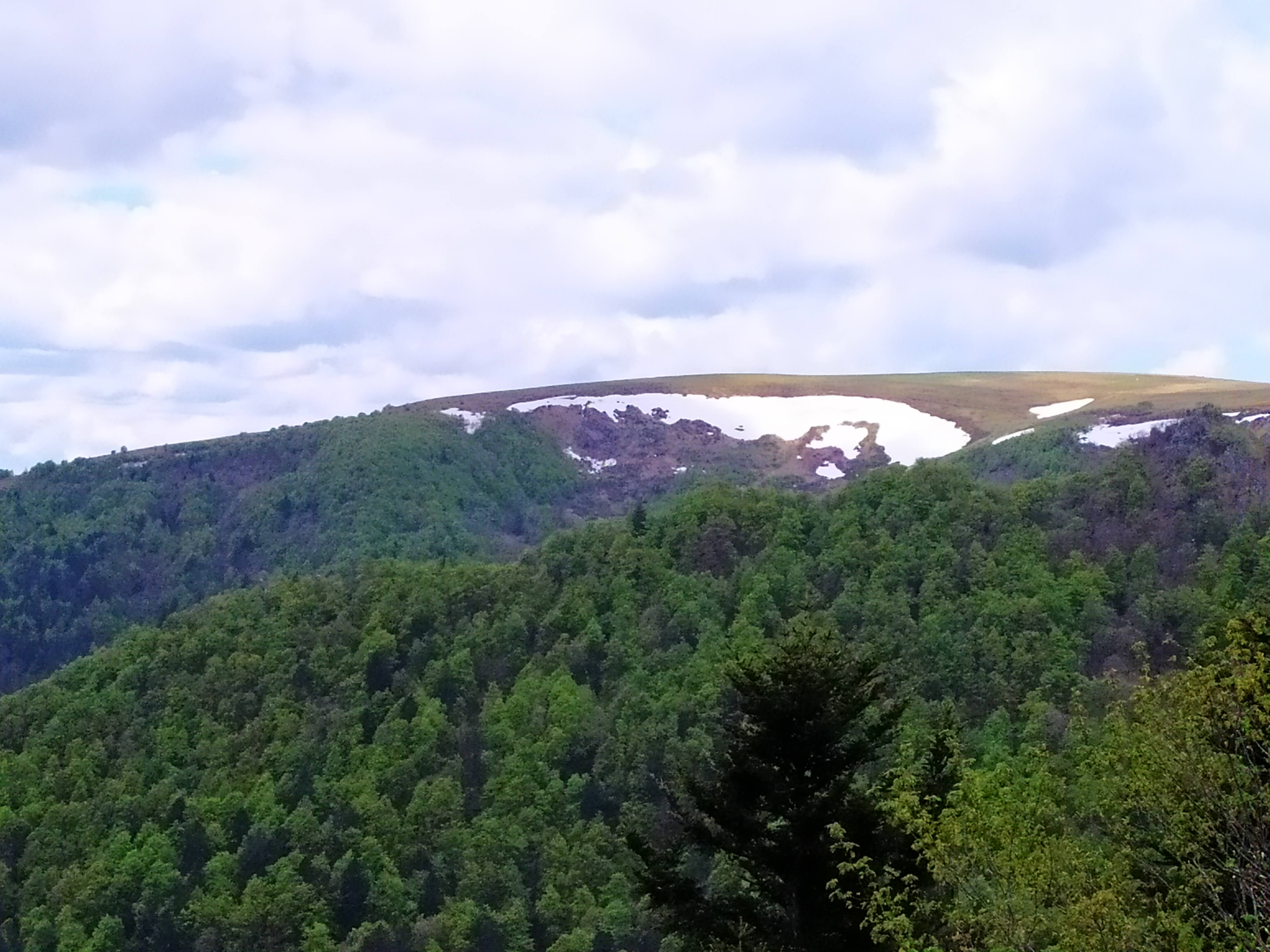 Photo n° 2 de l'avis de laurent.i fait le 29/05/2019 à 15:40