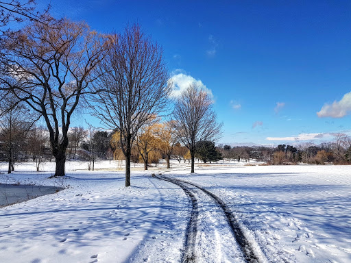 Golf Course «Fresh Pond Golf Course», reviews and photos, 691 Huron Ave, Cambridge, MA 02138, USA