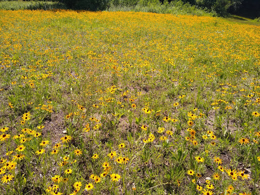 Nature Preserve «Bruce Vento Nature Sanctuary», reviews and photos, 4th St E, St Paul, MN 55106, USA