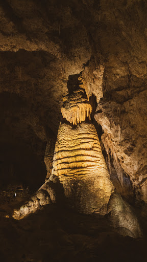 Tourist Information Center «Carlsbad Caverns National Park Headquarters», reviews and photos