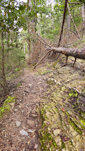 Lookout Mountain Trail
