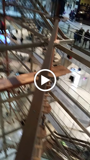 Tourist Attraction «Palisades Climb Adventure Ropes Course», reviews and photos, 4590 Palisades Center Dr, West Nyack, NY 10994, USA