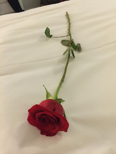 Explore middle neck tattoo ideas, creative tattoo ideas in South Padre Island, available at Peggys Temporary & Permanent Tattoos