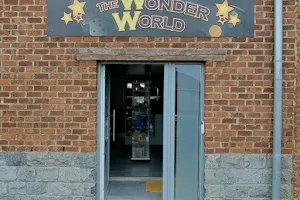 The Wonder World image