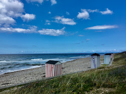 Photo de Smidstrup Beach et le règlement