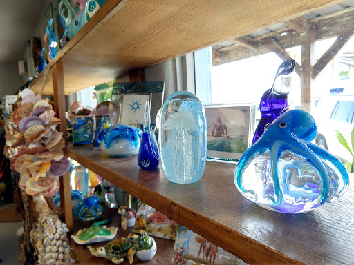 Gift Shop «Sea Shell Shoppe», reviews and photos, 120 N Austin St, Rockport, TX 78382, USA