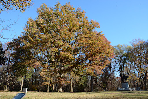 National Park «Guilford Courthouse National Military Park», reviews and photos, 2332 New Garden Rd, Greensboro, NC 27410, USA
