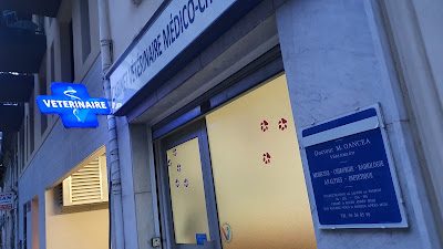 Clinique Veterinaire à Nice