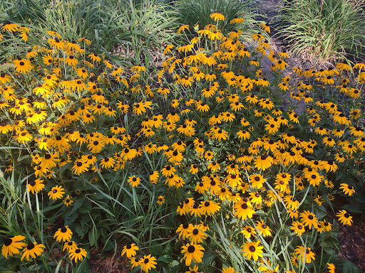 Resort «Six Flags Great Escape Lodge & Indoor Water park», reviews and photos, 89 Six Flags Drive, Queensbury, NY 12804, USA