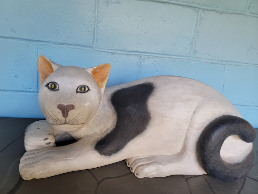 Museum «Bonnet House Museum & Gardens», reviews and photos, 900 N Birch Rd, Fort Lauderdale, FL 33304, USA