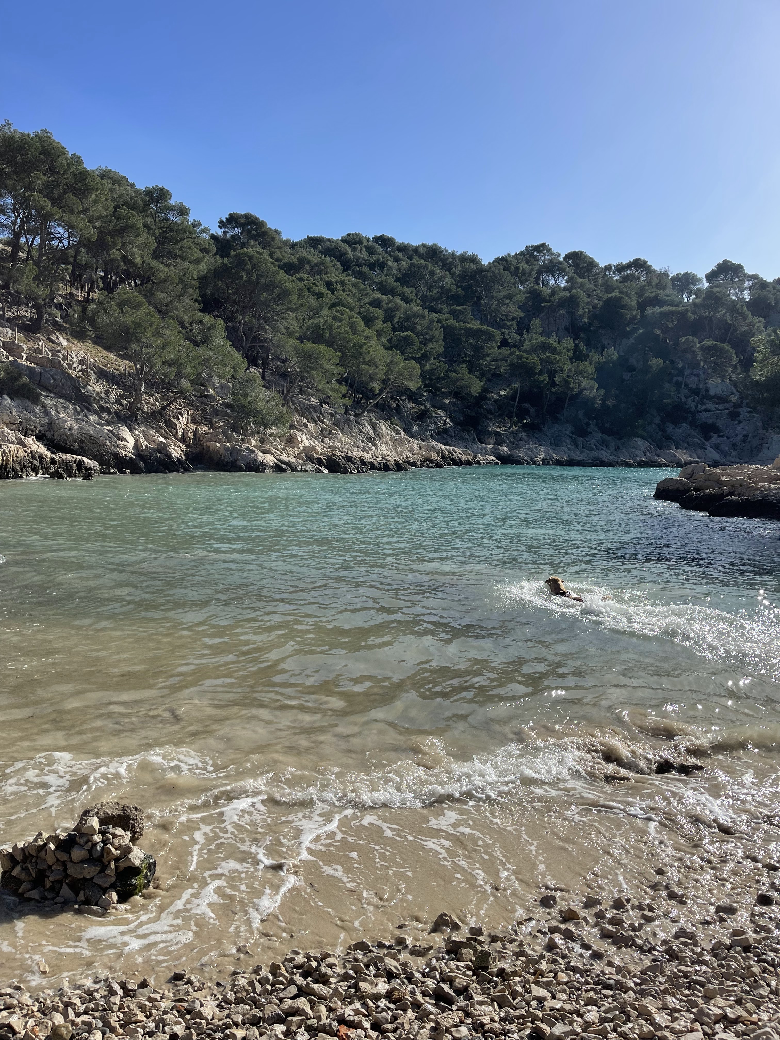 Photo n° 2 de l'avis de Laurie.c fait le 25/02/2022 à 15:49