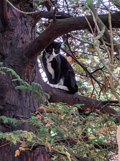 Park «Nichols Park», reviews and photos, 898 Bloomfield Ave, Nutley, NJ 07110, USA