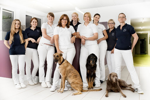 Tierärzte IVC Evidensia GmbH Tierärztezentrum Landshut unter Landshut, Bayern