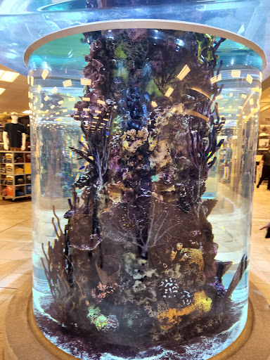 Shopping Mall «Eden Prairie Center», reviews and photos, 8251 Flying Cloud Dr, Eden Prairie, MN 55344, USA