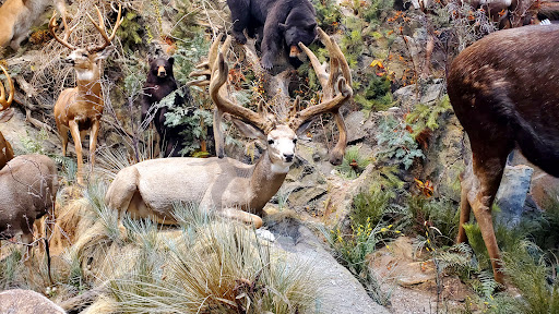 Outdoor Sports Store «Field & Stream», reviews and photos, 520 Clock Tower Way, Crescent Springs, KY 41017, USA