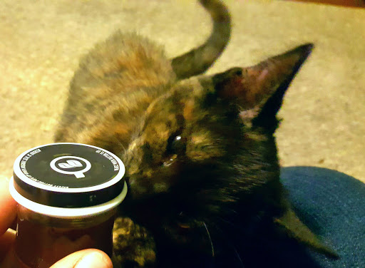 Pet Supply Store «Petco Animal Supplies», reviews and photos, 17930 Halsted St, Homewood, IL 60430, USA