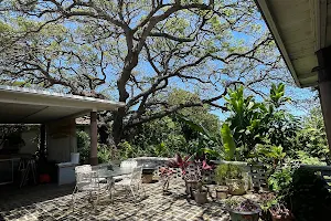 Diamond Head Bed & Breakfast image