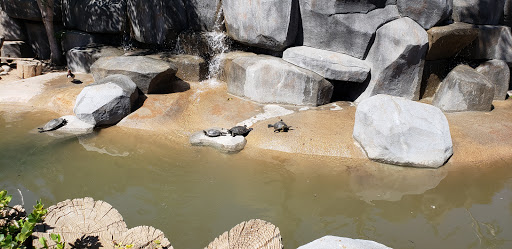 Zoo «Wildlife World Zoo, Aquarium & Safari Park», reviews and photos, 16501 W Northern Ave, Litchfield Park, AZ 85340, USA