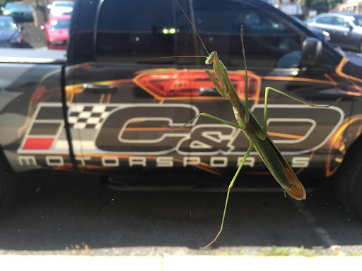 Used Car Dealer «C & D MotorSports», reviews and photos, 1820 Columbia Ave, Lancaster, PA 17603, USA