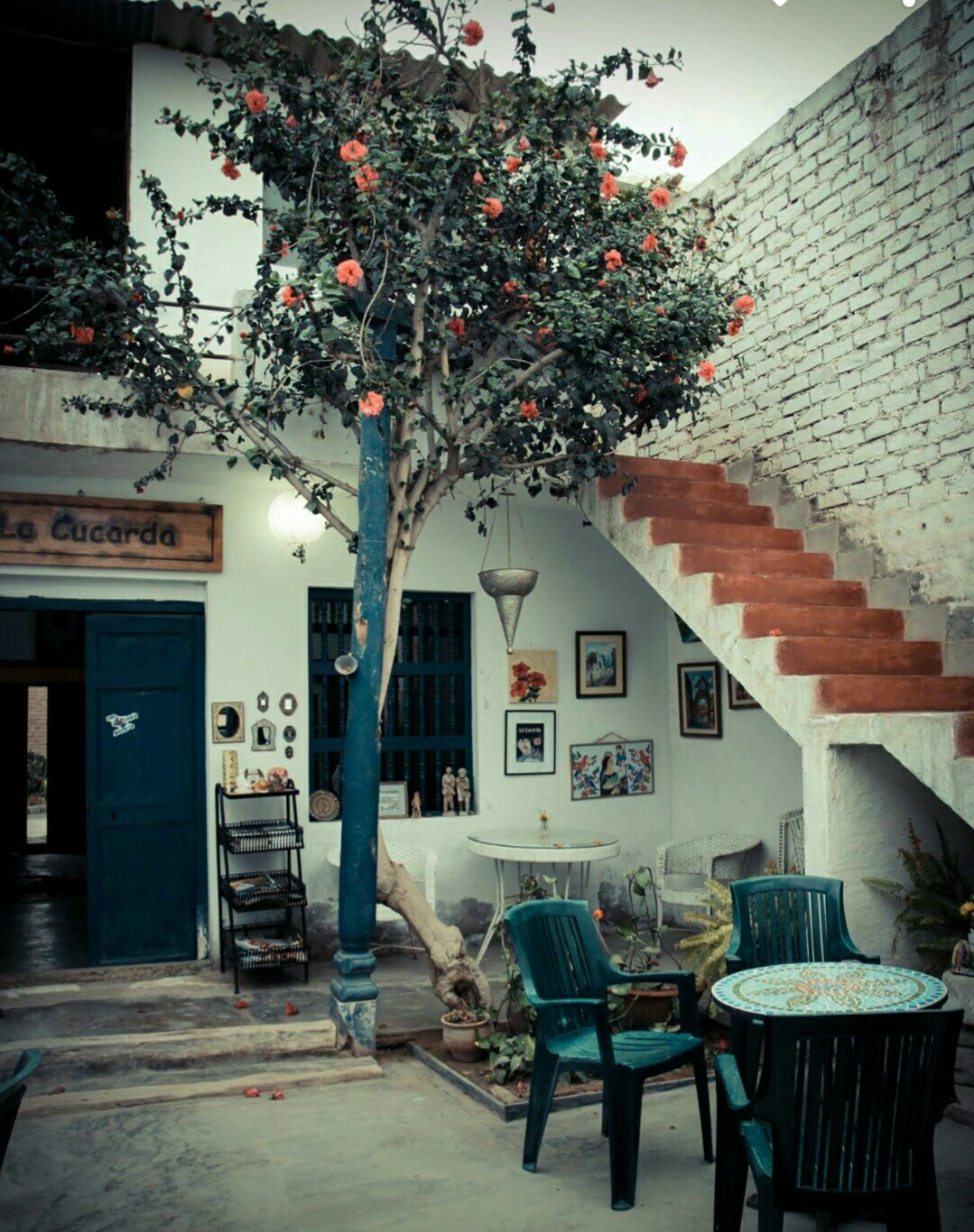 La Cucarda