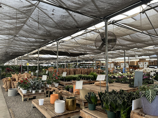 California Greenhouses - House Plant Nursery