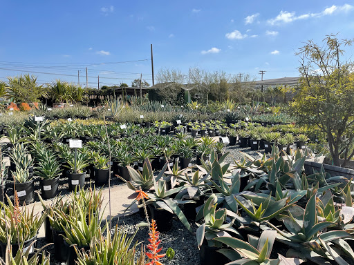 Terra Bella Nursery, Inc. image