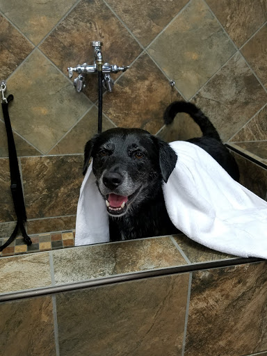 Pet Store «Pet Valu», reviews and photos, 404 E High St, Carlisle, PA 17013, USA