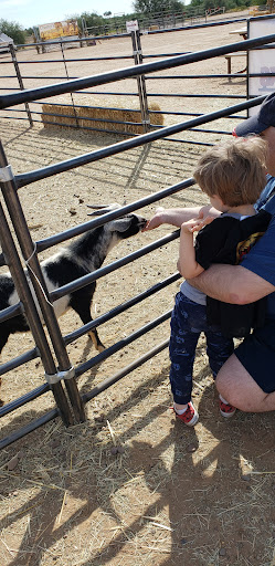 Park «Arizona Horse Lovers Park», reviews and photos, 19224 N Tatum Blvd, Phoenix, AZ 85050, USA