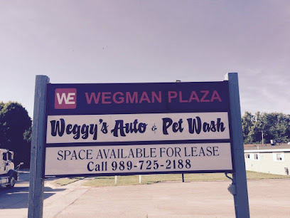 Weggy's Auto & Pet Wash