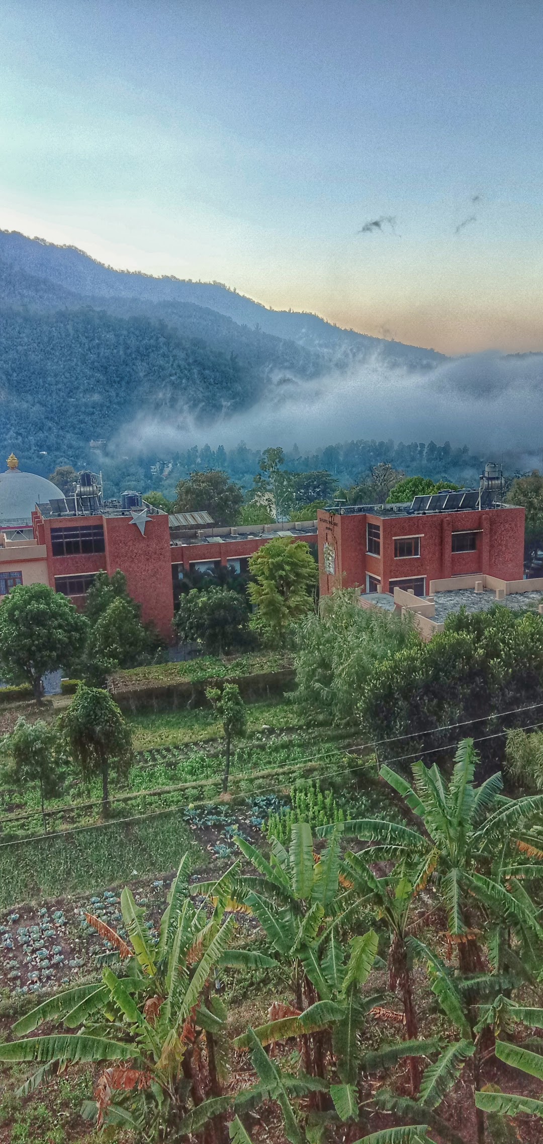 Moustache Hostel Rishikesh