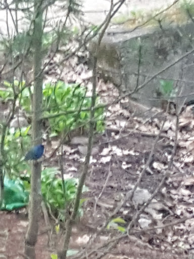 RV Park «Hidden Valley RV & Golf Park», reviews and photos, 81 Damren Rd, Derry, NH 03038, USA