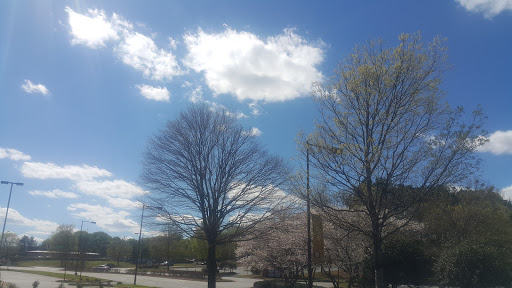 Shoe Store «Shoe Dept.», reviews and photos, 3510 Mall Blvd NW, Duluth, GA 30096, USA