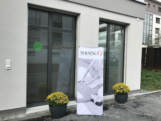 Rezensionen über Shiatsu Praxis Brunner in Risch - Akupunkteur