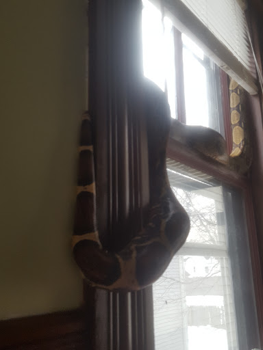 Pet Supply Store «Petco Animal Supplies», reviews and photos, 205 Washington St #11, Hudson, MA 01749, USA