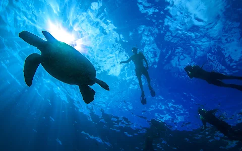 Living Ocean Tours image