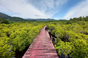 Salak Phet Mangrove Forest image